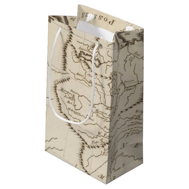 Louisiana 4 small gift bag (Back Angled)