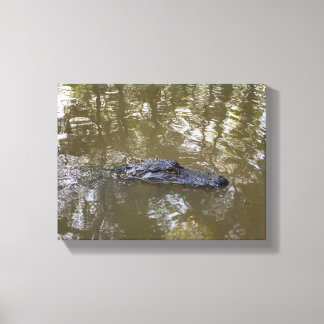 Louisiana Alligator Canvas Print