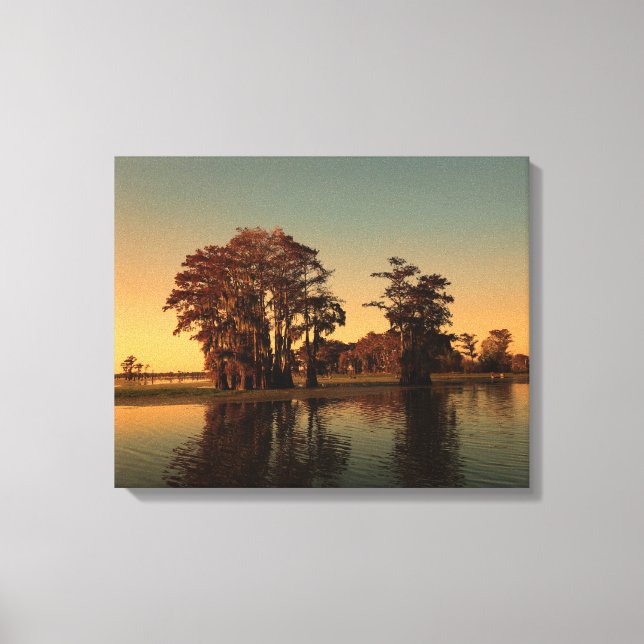 Louisiana bayou and cypress trees  canvas print (Front)