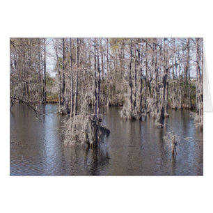 Louisiana Bayou Card