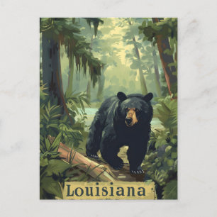 Louisiana Black Bear Postcard
