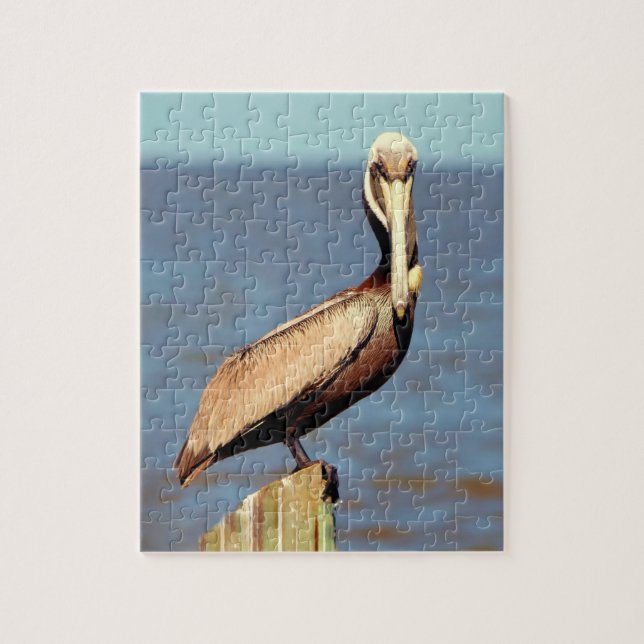 Louisiana Brown Pelican 4.jpg Jigsaw Puzzle (Vertical)