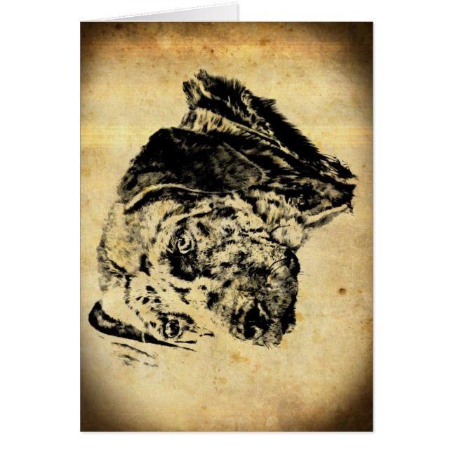 Louisiana Catahoula Leopard Dog Old Time (Front)