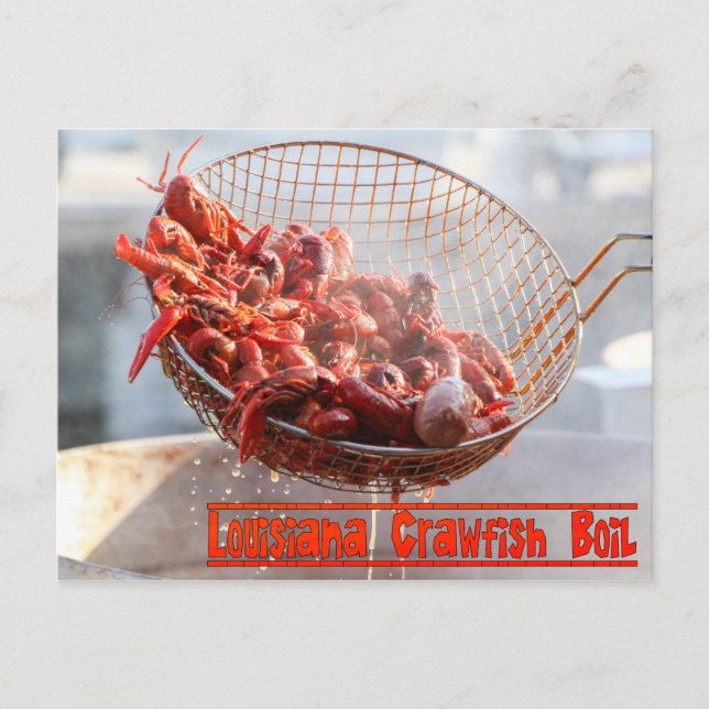 Louisiana Crawfish Boil Postcard (Front)