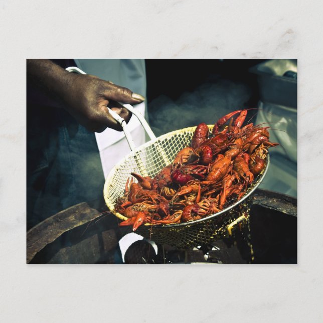 Louisiana Crawfish Postcard (Front)