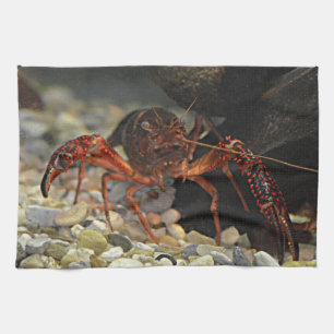 Louisiana Crawfish Tea Towel