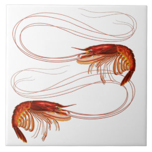 Louisiana Crayfish Tile