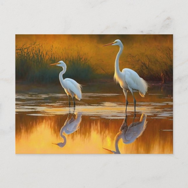 Louisiana Egret Art Postcard (Front)