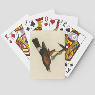 Louisiana (Harris's) Hawk Audubon Birds of America Playing Cards