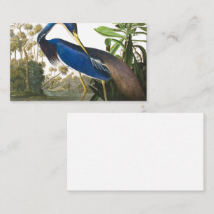 Louisiana Heron by John James Audubon Business Card