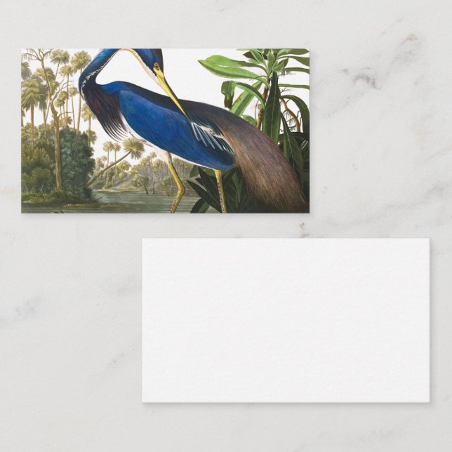 Louisiana Heron by John James Audubon Business Card (Front/Back)