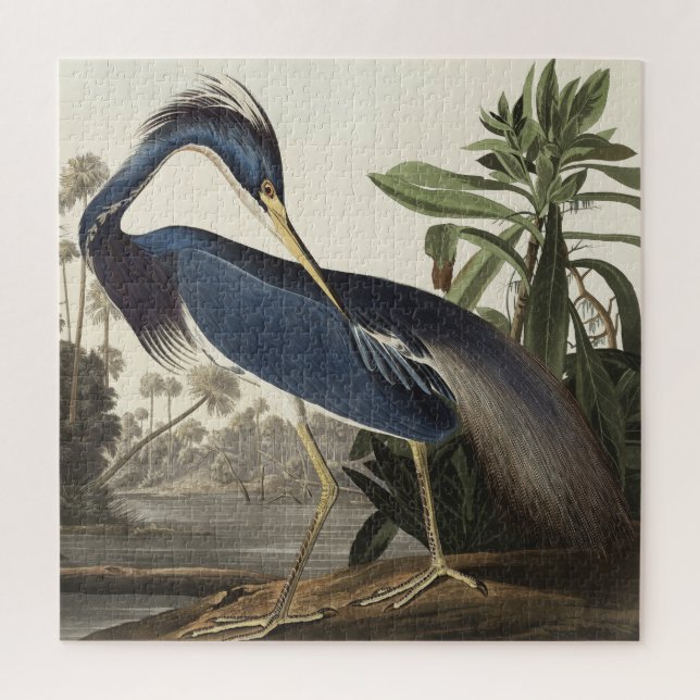 Louisiana Heron from Birds of America Jigsaw Puzzle (Vertical)