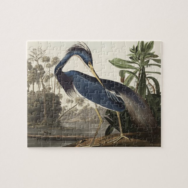 Louisiana Heron from Birds of America Jigsaw Puzzle (Horizontal)