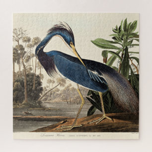 Louisiana Heron from Birds of America Jigsaw Puzzle