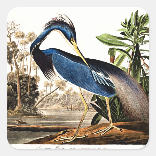 Louisiana Heron Square Sticker (Front)
