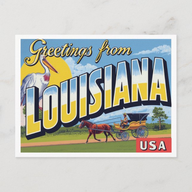 Louisiana Pelican Carriage Bayou Postcard (Front)