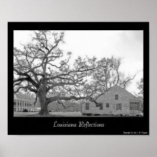 Louisiana Reflections Poster