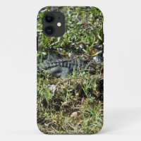 Louisiana Swamp Alligator in Jean Lafitte Close Up