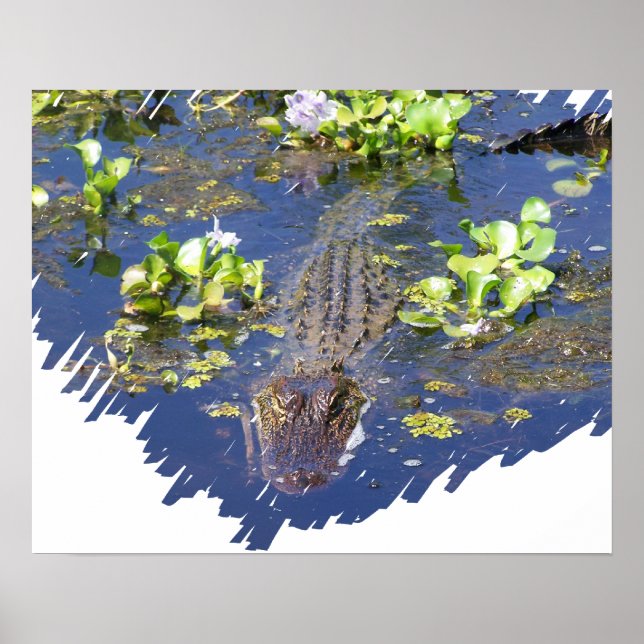 Louisiana Swamp Gator Hunter Poster (Front)