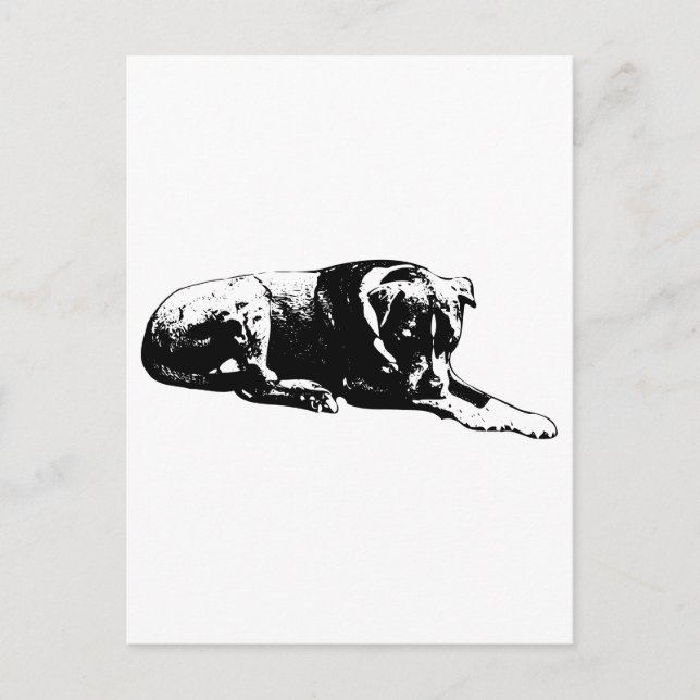 Lounge Dog Postcard (Front)