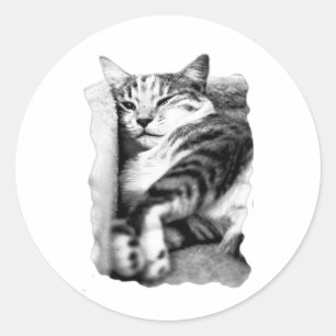 Lounge Pose Tabby Cat Sticker