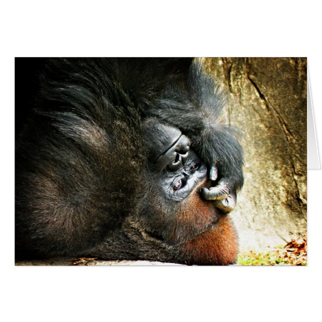 Lounging Gorilla Blank Card (Front Horizontal)