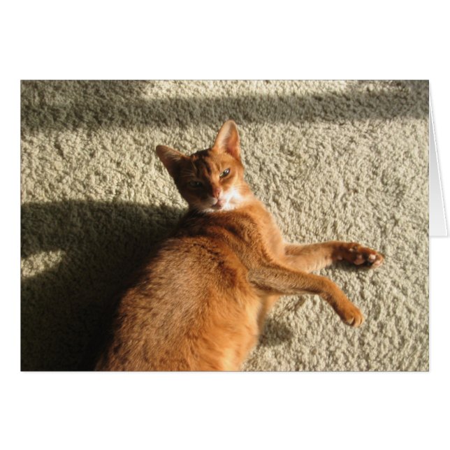 Lounging Kitty Card (Front Horizontal)