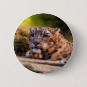 Lounging Leopard 6 Cm Round Badge