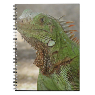 Lounging Lizard Notebook