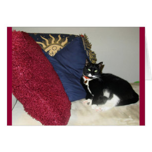 Lounging Lucy