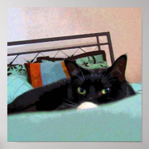 Lounging Lucy CB Poster