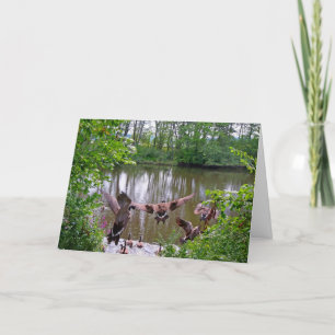 Lounging with friends note card