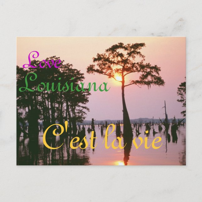 Lousiana/Atchafalaya Basin Postcard (Front)