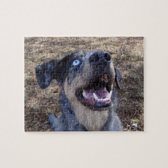 Lousiana Catahoula Leopard Dog Jigsaw Puzzle (Horizontal)