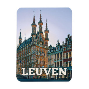 Louvain Belgique Photo Vintage Magnet