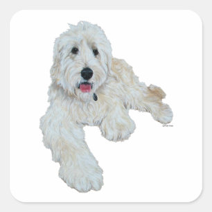 Lovable Goldendoodle Square Sticker
