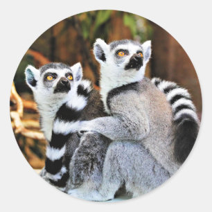 Lovable Lemurs Classic Round Sticker