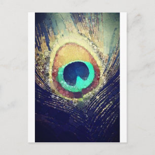 Love2Snap Peacock Feather Postcard