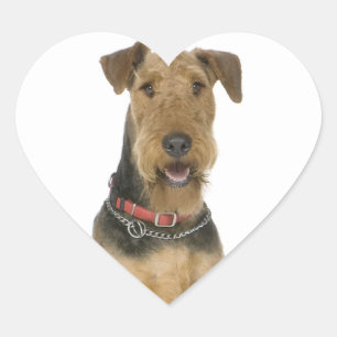 Love Airedale Terrier Puppy Dog Sticker