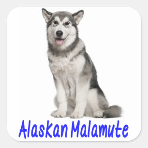Love Alaskan Malamute Puppy Dog Sticker / Seal