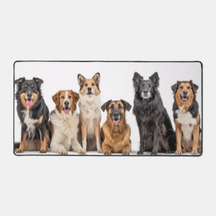 Love All Breeds Desk Mat