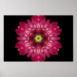 Love Allows Flower Mandala Poster