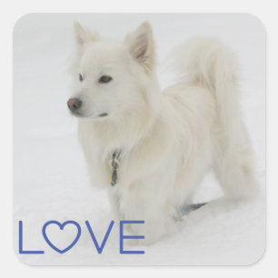 Love American Eskimo Puppy Dog Sticker / Label
