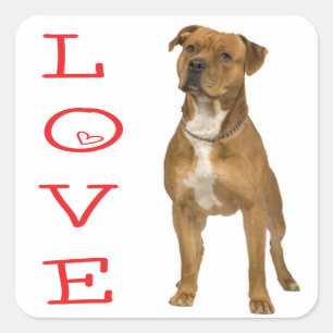 Love American Staffordshire Terrier Dog Sticker