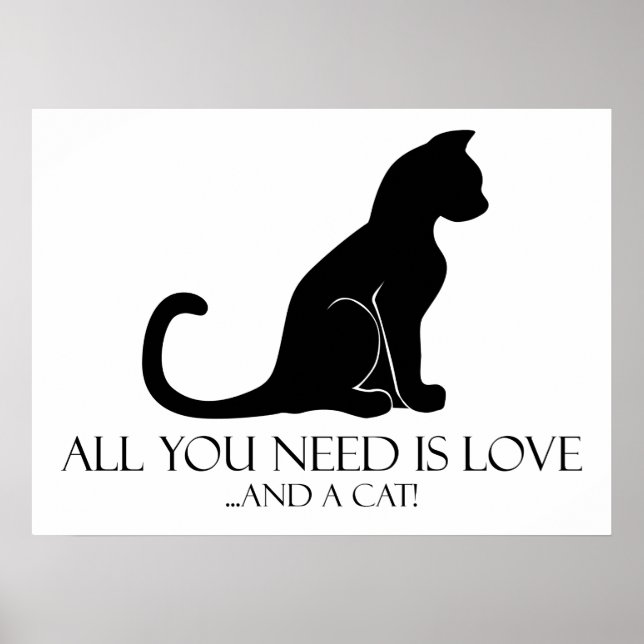 Love And A Cat Poster (Front)