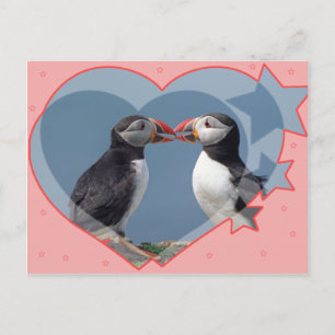 Love and birds postcard
