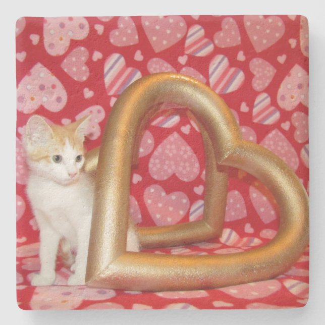 Love, Annie - Kitten / Cat Coaster (Front)