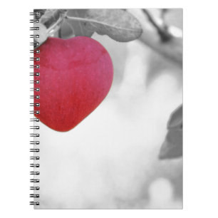 Love Apple Spiral Notebook