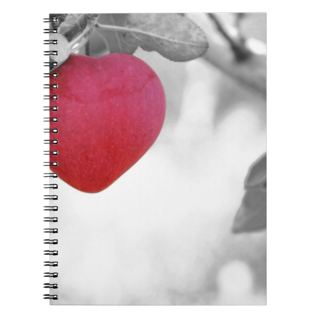 Love Apple Spiral Notebook (Front)