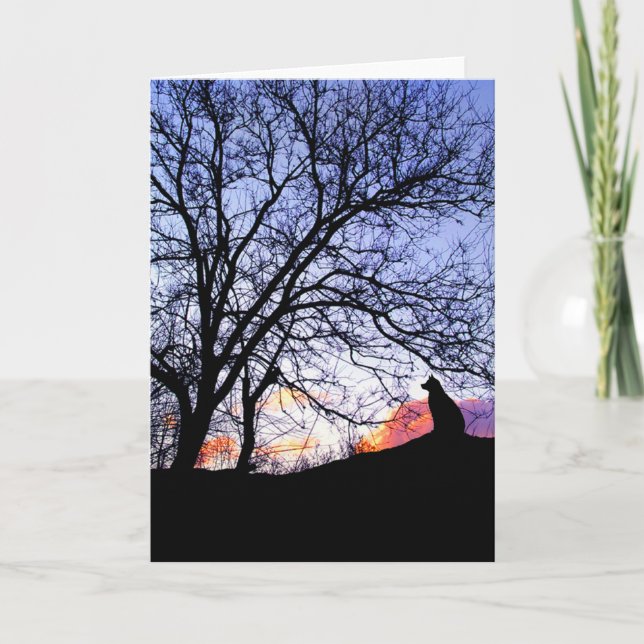 "Love At Sunset" Loss of a Dog Sympathy Card (Front)